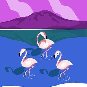 Meet your Posher, Camryn’s camera